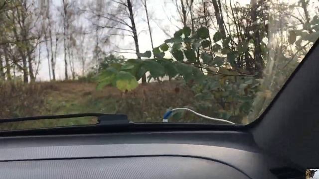 Огурцы к октябрю. Осенняя дорога. Собираем виноград. смотреть онлайн