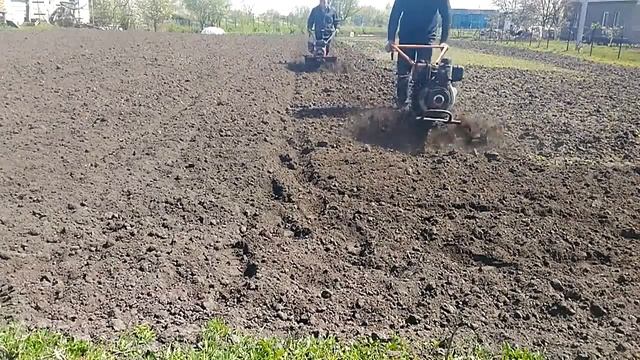 Обработка почвы фрезой перед посадкой картофеля. смотреть онлайн