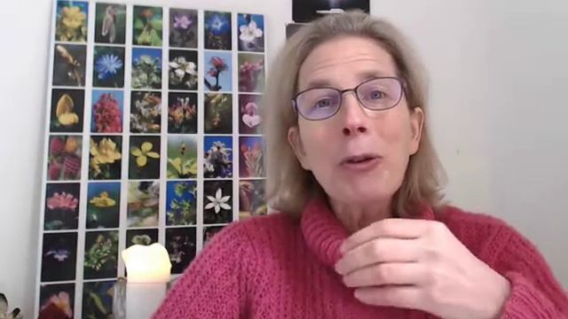 Centaury - Quatrième des 12 Guérisseurs смотреть онлайн