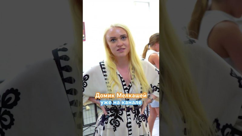 Полный выпуск @minidog911 уже на канале #doring #домикмелкашей