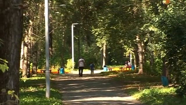 Вырубка тополей смотреть онлайн