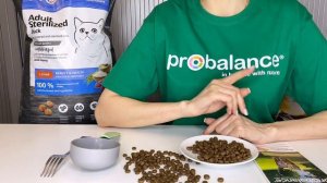 Ошибки, которые делают при выборе корма для стерилизованных кошек и кастрированных котов