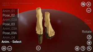 HAELE 3D - Feet Poser