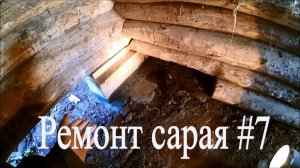 Ремонт сарая под индюшатник #7