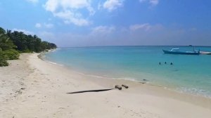 GRANDTRAVEL MUSIC: SET 25. ЛУЧШАЯ МУЗЫКА ДЛЯ ПУТЕШЕСТВИЙ. ТОДДУ. МАЛЬДИВЫ