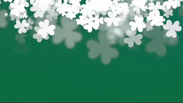 green screen shamrocks | white flower falling green screen | green screen flower effects смотреть онлайн