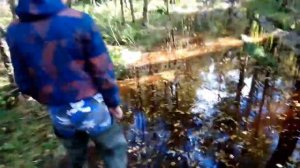 ARMADA 150 B I Обзор и опыт использования