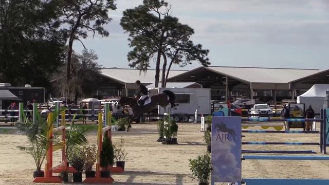Our host, Louisa Barton, interviews Justine Dutton & Chris Bernard at the Florida Horse Park (Ep 2) смотреть онлайн