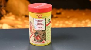 Лабиринтовые рыбки, которые поразят вас своей красотой