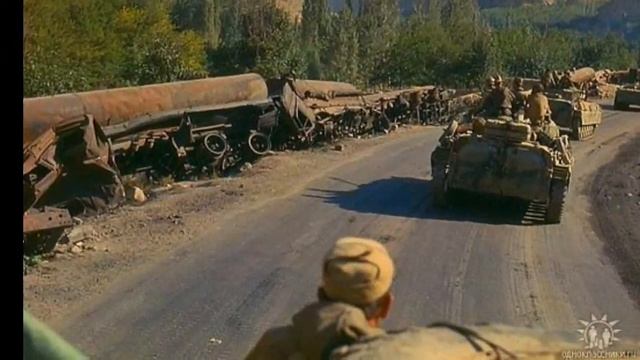 Розы красные в снегу.