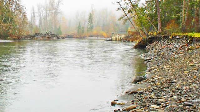 SOUNDS OF NATURE | RIVER FLOW 10 hours. ЗВУКИ ПРИРОДЫ ШУМ РЕКИ 10 ЧАСОВ.