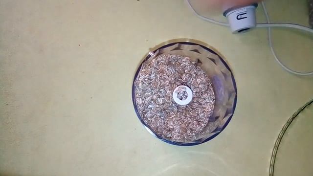 Как сделать овсяную муку смотреть онлайн