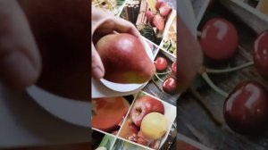 Огромная груша Велеса