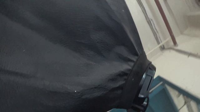 Жарим орбизы на сковородке! Как вырастить орбизы? Товары с аликэспресс смотреть онлайн