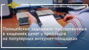 Полицейские задержали подозреваемых в хищениях денег у продавцов на популярных интернет-площадках