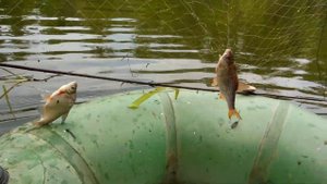 рыбалка на экран на большой глубине