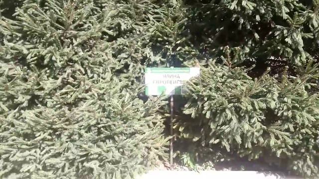 Прогулка по Запорожью 2019.Часть 2.От площади Свободы до вокзала Запорожье-2