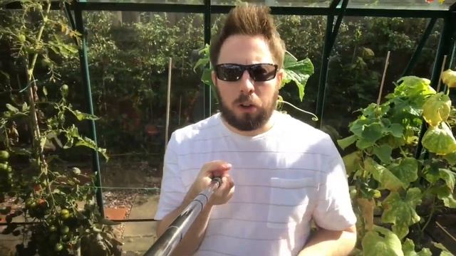 Remembering Diana Princess Of Wales! THOUGHTS / CLEMATIS & STATUE - 22nd Anniversary! смотреть онлайн