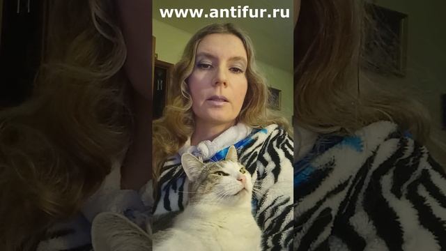 Антимех Эдик