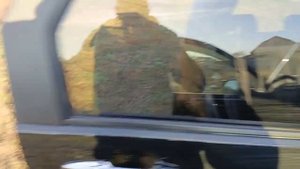 хонда N-wgn 2014 полный привод TURBO ,(64л.с.)