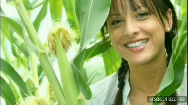 64а. Как с пользой ВАРИТЬ КУКУРУЗУ. смотреть онлайн