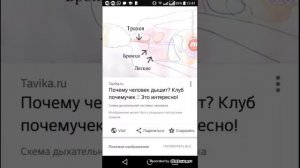 Почему человек дышит?