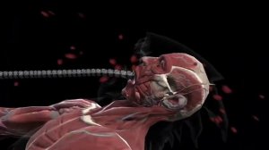 mortal kombat mobile/ рентген добивания