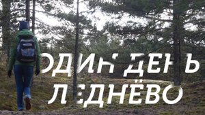 Один день. пос. Леднёво, Ленинградская область