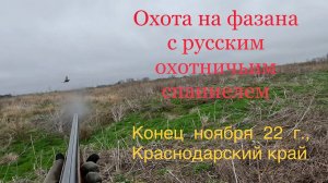 Вырвались на выходные поохотить фазана в КК. 2500 км за двумя петухами ((