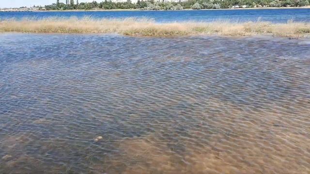 Донузлав.Крым. В озере пропали рыбы и крабы смотреть онлайн