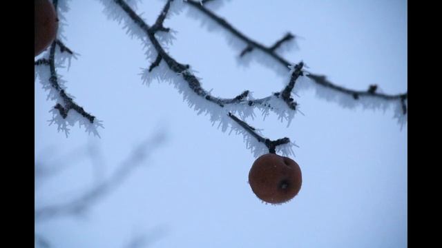 Деревня 01.2020 .mp4 смотреть онлайн