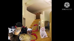 Коты в городе: Новогодняя серия (2023)