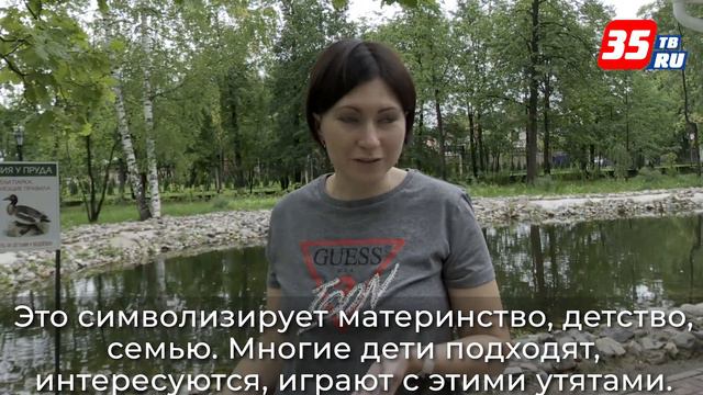 Желания загадывают череповчане у семьи бронзовых уток в Соляном саду смотреть онлайн