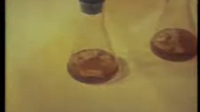 соматическая гибридизация Лесова Ж.Т. смотреть онлайн