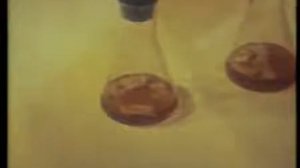 соматическая гибридизация Лесова Ж.Т.