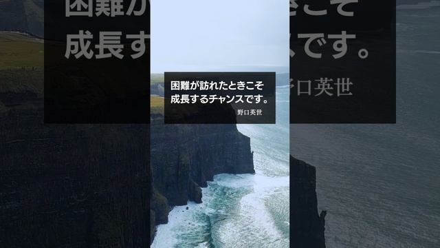 癒しの言葉・名言・格言 14