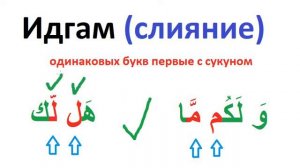 Правило ИДГАМ для одинаковых букв - Таджвид Корана по книге МУАЛЛИМ САНИ НУРАНИЯ