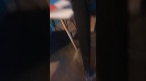 Река(Десна) очень сильно поднялась.
Это красиво и удевительно
?????☺️