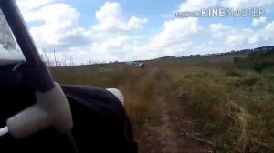 Покатушки на мотоцикле Урал