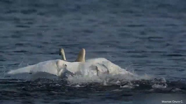 Однажды - это моя Мантра Молитва за всех влюбленных и любящих во всей Вселенной смотреть онлайн