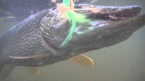 Игорь Тяпкин