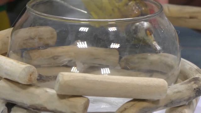 Декоративный подсвечник из вазы и веток смотреть онлайн