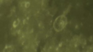 Moon - Celestron 8se Telescope & 3x Barlow - Zwo Asi Cam - Thursday 10th November 2022 Gibraltar