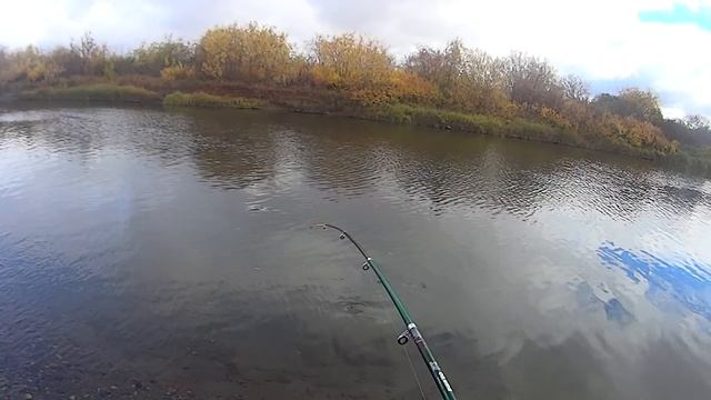 Охота и рыбалка на Чукотке 2018 смотреть онлайн