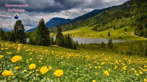 Случайностей не бывает. Все правильно именно так, как есть Не бывает ошибок Нет ничего неправильног