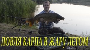 Ловля карпа в жару на пруду Липов Лог