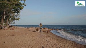 Акватория - коттеджный поселок на берегу Финского залива.