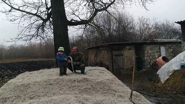 Как помочь двум дедушкам и никого не обидеть.Для чего мы солим и трамбуем жом. смотреть онлайн