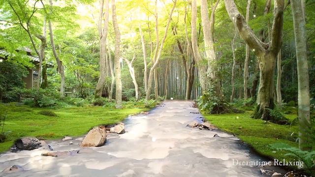 Japanese flute (SHAKUHACHI) music with water sound and wind chimes (stress relief,study,sleep,yoga) смотреть онлайн