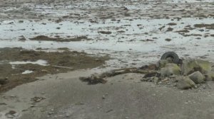 Непростой путь на Кольскую сверхглубокую скважину.